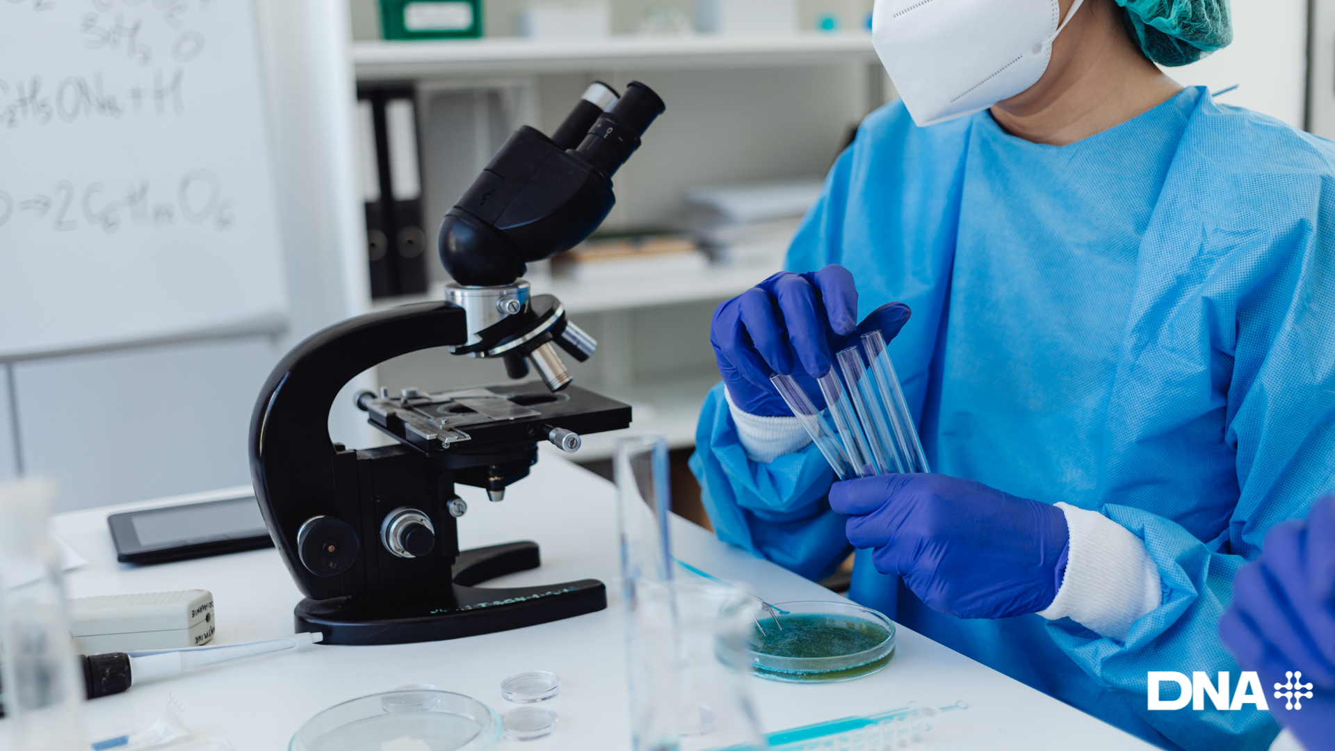 Is DNA Testing Worth It in Malaysia?